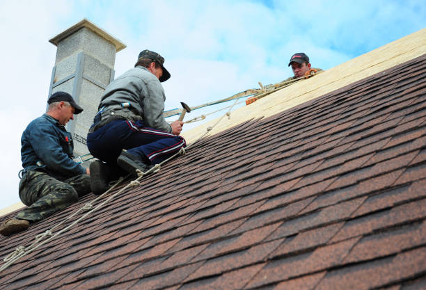 Best Residential Roofing Contractor  in Brookside Village, TX